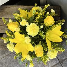 Yellow posy