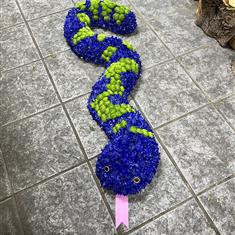 Snake 