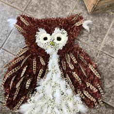 Owl 